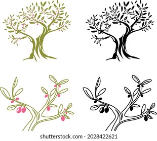 Olive tree Vector silhouettes with leaves and branches Logo