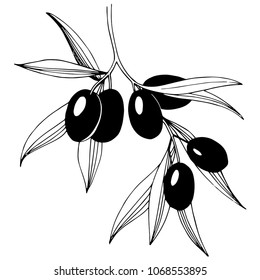 Olive tree in a vector style isolated. Full name of the plant: Branches of an olive tree. Vector olive tree for background, texture, wrapper pattern, frame or border.