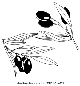 Olive tree in a vector style isolated. Olive tree in a vector style isolated. Vector olive tree for background, texture, wrapper pattern, frame or border.