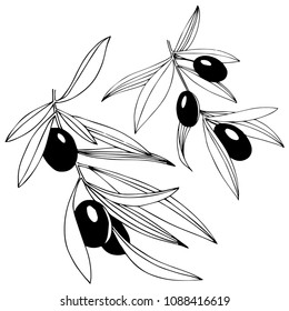 Olive tree in a vector style isolated. Full name of the plant: Branches of an olive tree. Vector olive tree for background, texture, wrapper pattern, frame or border.