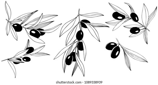 Olive tree in a vector style isolated. Full name of the plant: Branches of an olive tree. Vector olive tree for background, texture, wrapper pattern, frame or border.