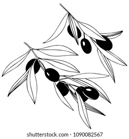 Olive tree in a vector style isolated. Full name of the plant: Branches of an olive tree. Vector olive tree for background, texture, wrapper pattern, frame or border.