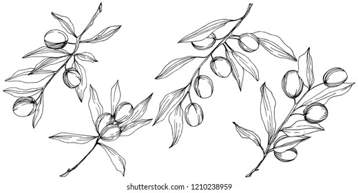 Olive Tree Vector Style Isolated Black Stock Vector (Royalty Free ...