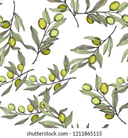 Olive tree in a vector style isolated. Green engraved ink art. Seamless background pattern. Fabric wallpaper print texture. Vector olive tree for background, texture, wrapper pattern, frame or border.