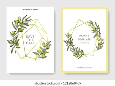 Olive tree in a vector style isolated. Green engraved ink art. Frame border ornament square. Vector olive tree for background, texture, wrapper pattern, frame or border.
