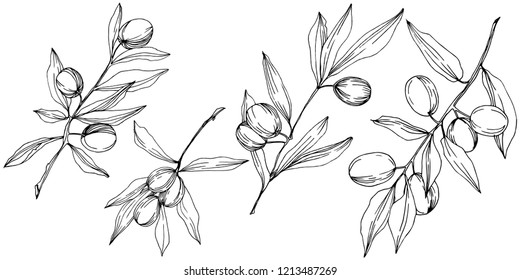 Olive Tree Vector Style Isolated Black Stock Vector (Royalty Free ...
