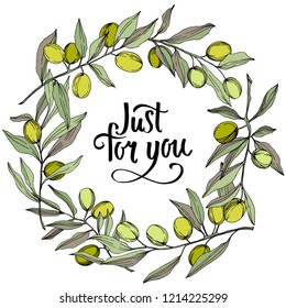 Olive tree in a vector style isolated. Green engraved ink art. Frame border ornament square. Vector olive tree for background, texture, wrapper pattern, frame or border.