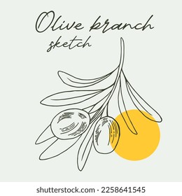 Olive tree in a vector style isolated. Black and white engraved ink art. Full name of the plant: Branches of an olive tree. Vector olive tree for background, texture, wrapper pattern, frame or border.