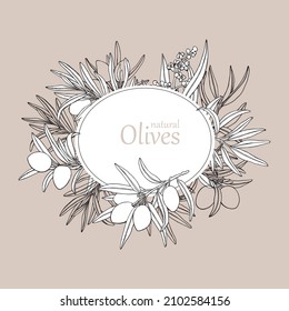 Olive tree vintage frame. Vector retro illustration. Hand drawn black lines and white fill elements . Design for olive oil, olive packaging, natural cosmetics, health care products.