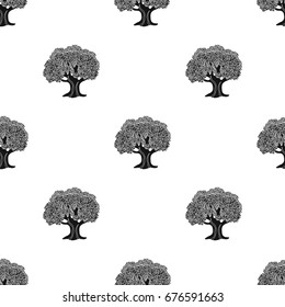 Olive Tree.Olives single icon in black style vector symbol stock illustration web.