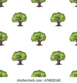 Olive Tree.Olives single icon in cartoon style vector symbol stock illustration web.