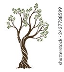 Olive trees with branches and leaves for design of packaging, label, logotype or banner. Natural organic stylized olive icon, premium quality sign. Vector illustration