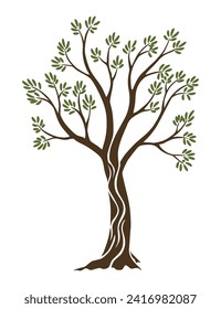 Olive trees with branches and leaves for design of packaging, label, logotype or banner. Natural organic stylized olive icon, premium quality sign. Vector illustration