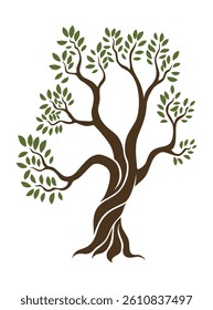 Olive trees with branches and leaves for design of packaging, label, logotype or banner. Natural organic stylized olive icon, premium quality sign. Vector illustration