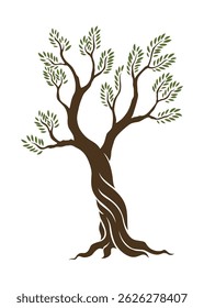 Olive trees with branches and leaves for design of packaging, label, logotype or banner. Natural organic stylized olive icon, premium quality sign. Vector illustration