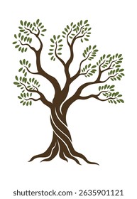 Oliveiras com ramos e folhas para desenho de embalagem, rótulo, logótipo ou faixa. Ícone natural orgânico estilizado da azeitona, sinal de qualidade premium. Ilustração vetorial