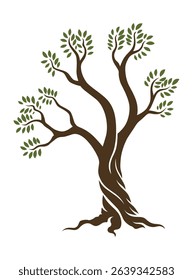 Olive trees with branches and leaves for design of packaging, label, logotype or banner. Natural organic stylized olive icon, premium quality sign. Vector illustration