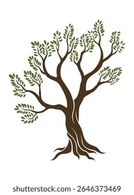 Oliveiras com ramos e folhas para desenho de embalagem, rótulo, logótipo ou faixa. Ícone natural orgânico estilizado da azeitona, sinal de qualidade premium. Ilustração vetorial