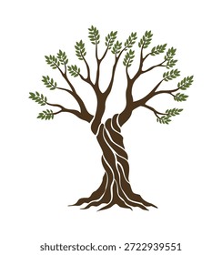 Oliveiras com ramos e folhas para desenho de embalagem, rótulo, logótipo ou faixa. Ícone natural orgânico estilizado da azeitona, sinal de qualidade premium. Ilustração vetorial