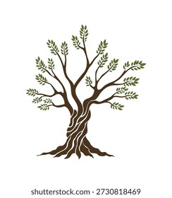 Olive trees with branches and leaves for design of packaging, label, logotype or banner. Natural organic stylized olive icon, premium quality sign. Vector illustration