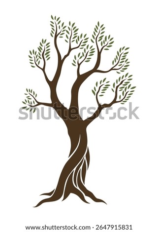 Olive trees with branches and leaves for design of packaging, label, logotype or banner. Natural organic stylized olive icon, premium quality sign. Vector illustration