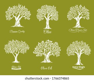 Olive trees farm icons vector set. Agriculure industry. Trees with various shape crown, leaves on brunches and crack in trunk bark. Extra virgin, olive oil label, farm garden tree icon with lettering
