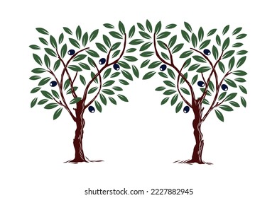 Olive trees - isolated vector illustration 