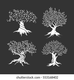 Olive trees silhouette icon set isolated on dark background. Web infographic modern vector sign. Premium quality illustration logo design concept pictogram.