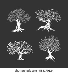 Olive trees silhouette icon set isolated on dark background. Web infographic modern vector sign. Premium quality illustration logo design concept pictogram.