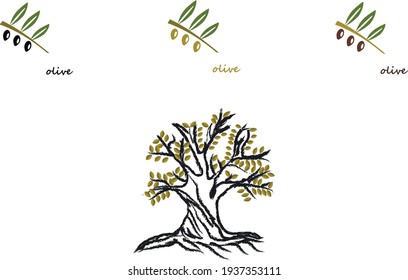 olive tree,variety of black,green and brown olives
