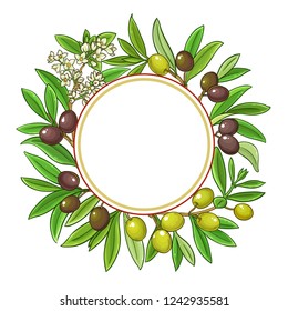 olive vector frame