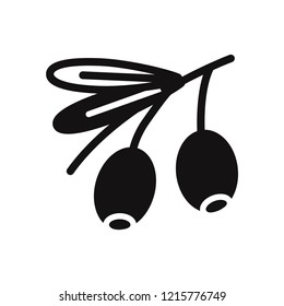 Olive vector icon