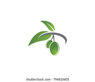 Olive vector icon