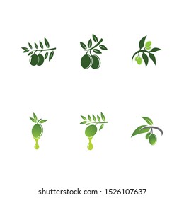 Olive vector icon illustration design