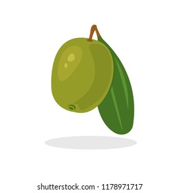 olive vector illustration