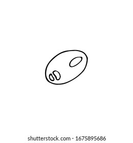 Olivo, ilustración vectorial, dibujo manual