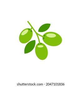 Olive Vektorgrafik einzeln auf weißem Hintergrund