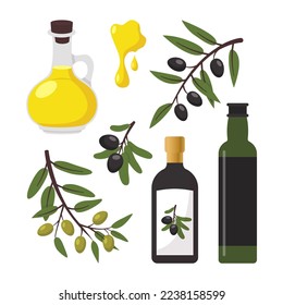 Olive vector illustration set. Black and green olive tree branches, glass bottle and jug of oil, bowl, jar, and cans. Vector illustration isolated on background for healthy food or cooking concept