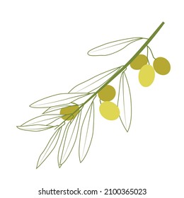 Olive Vektorgrafik mit grünen Ästen auf weißem Hintergrund