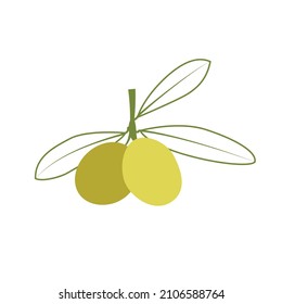 Olive vector line art with green branches of olive on white background