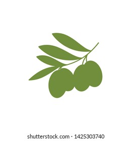 olive vector logo design - icon vector