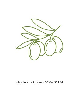 olive vector logo design - icon vector