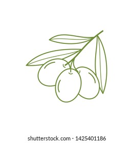 olive vector logo design - icon vector