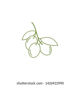 olive vector logo design - icon vector