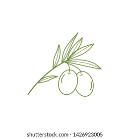 olive vector logo design - icon vector