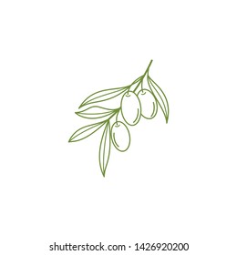 olive vector logo template - cerative symbol