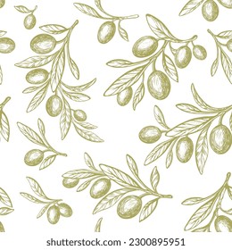 Olive vintage print. Vector seamless green plant and oil fruit. Mediterranean pattern. Extra virgin food