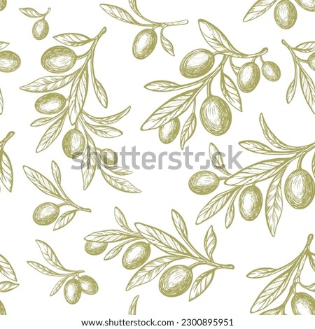 Olive vintage print. Vector seamless green plant and oil fruit. Mediterranean pattern. Extra virgin food