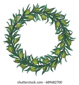 Vector Bay Leaves Watercolor Wreath Template Stock Vector (royalty Free 