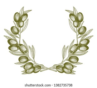 Olive wreath. Vector illustration of olive tree twigs in engraving technique on white background.